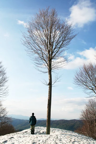 Menino Ficar Sozinho Árvore — Fotografia de Stock