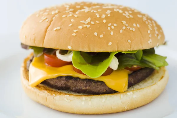 Homemade Cheese Burger Plate White Background — Stock Photo, Image