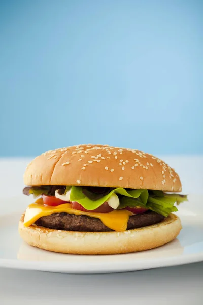 Mavi Arka Planda Tabakta Yapımı Peynirli Burger — Stok fotoğraf