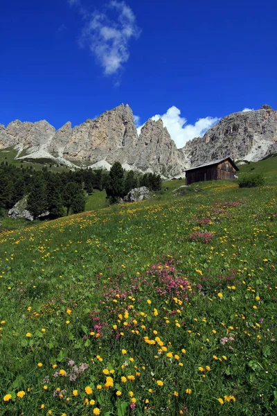 Flower Meadows Cir — Stock Photo, Image