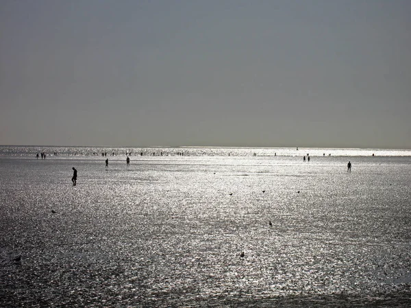 Tideland Noordzee — Stockfoto