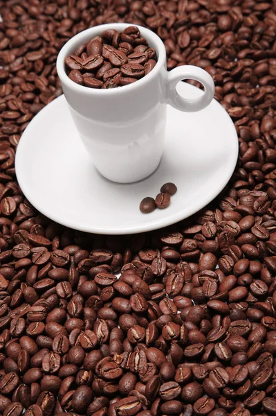 Coffee Cup Beans — Stock Photo, Image