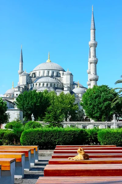 Blue Mosque Istanbul — Stock Photo, Image