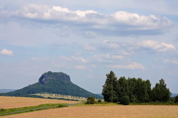 Vue Pittoresque Sur Beau Paysage Printanier — Photo