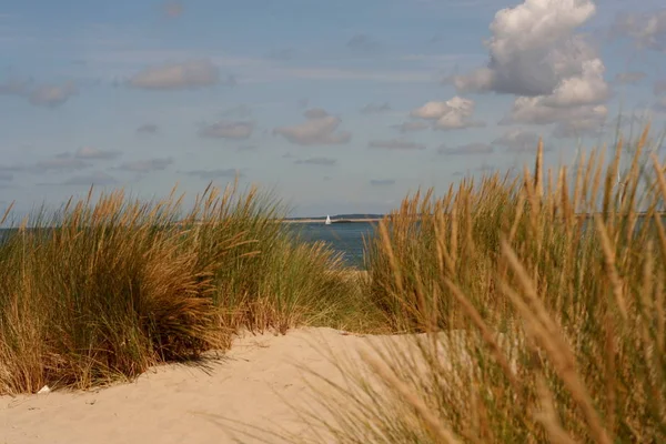 Scenic View Dunes Selective Focus — Stock Photo, Image