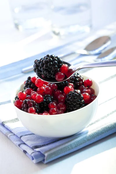 Berries Closeup Shot Concept Alimentar Sănătos — Fotografie, imagine de stoc