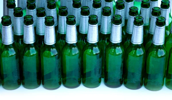 Бутылки Вина Ряд Белом Фоне — стоковое фото