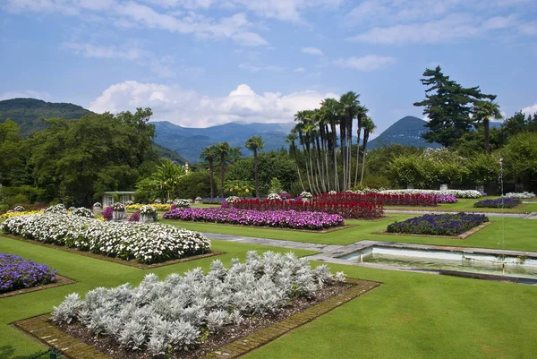 Hermosa Vista Naturaleza —  Fotos de Stock