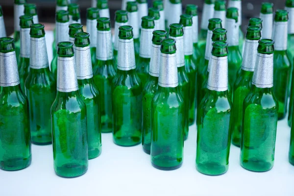 Bottles Beer Row White Background — Stock Photo, Image