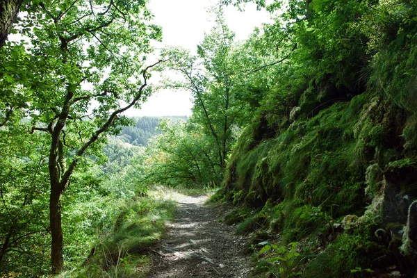 Turistická Stezka Německu Lieserpfad — Stock fotografie