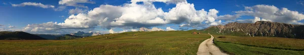 Panoráma Elkobzó Alm Dél Tirol — Stock Fotó