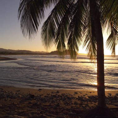 Coast of Costa Rica clipart