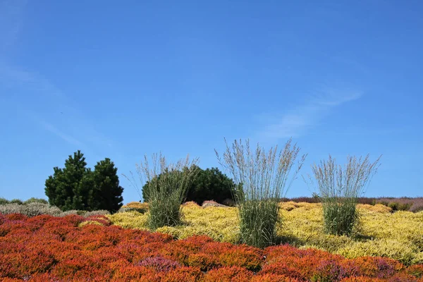 Picturesque View Nature Scene — Stock Photo, Image