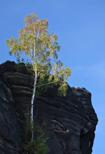 Felslandschaft Sandsteingeologie — Stockfoto