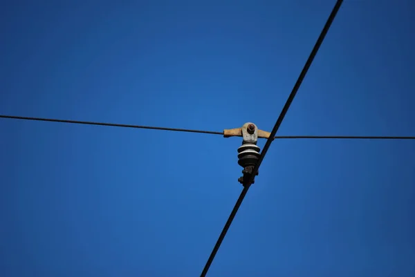 Çatıdaki Bir Sıra Kuşu Kapat — Stok fotoğraf