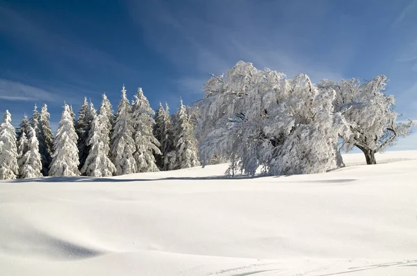 Erstaunliche Natur Auf Alpen Berge Hintergrund — Stockfoto