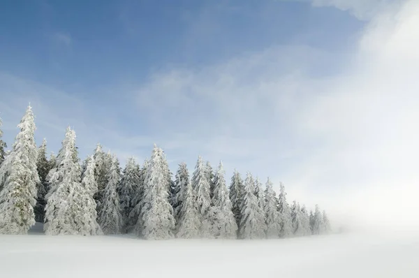 Prachtig Uitzicht Het Winterlandschap — Stockfoto