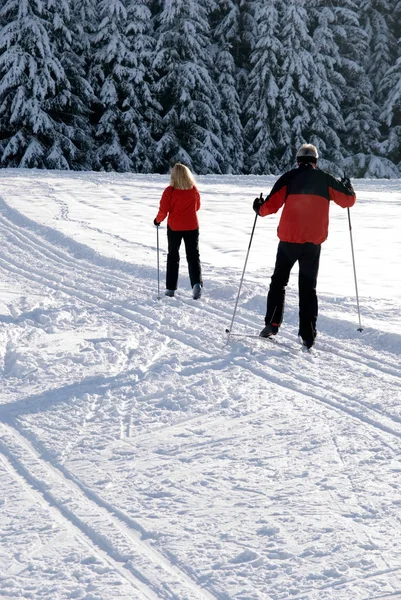 Esquiadores Pista Esquí —  Fotos de Stock