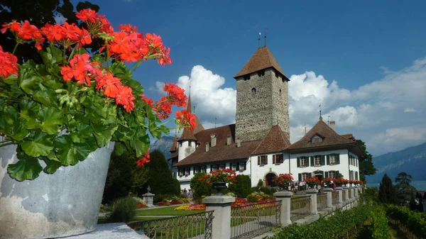 Vue Panoramique Sur Architecture Majestueuse Château Médiéval — Photo