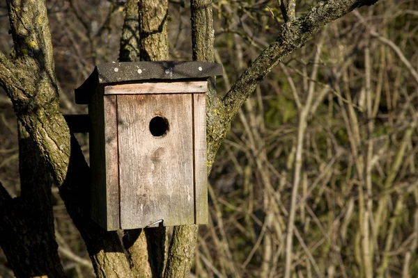 Self Built Nesting Box — Stock Photo, Image