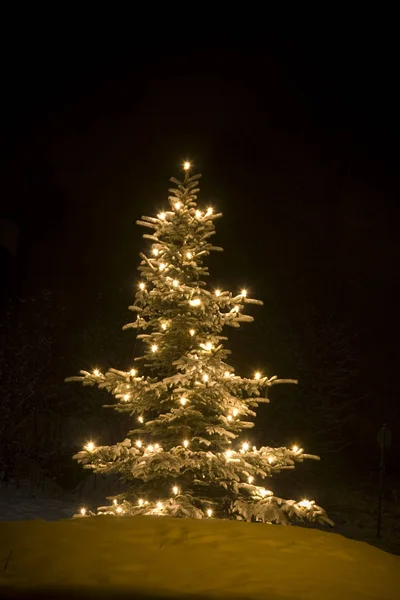 光のクリスマスツリー — ストック写真