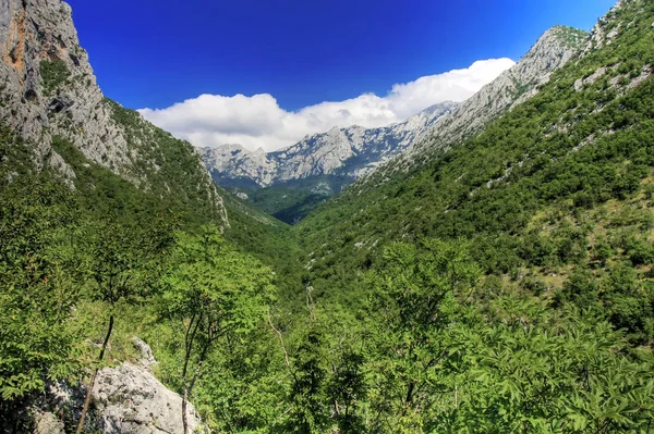 Velebit Hırvatistan Daki Dağlar — Stok fotoğraf