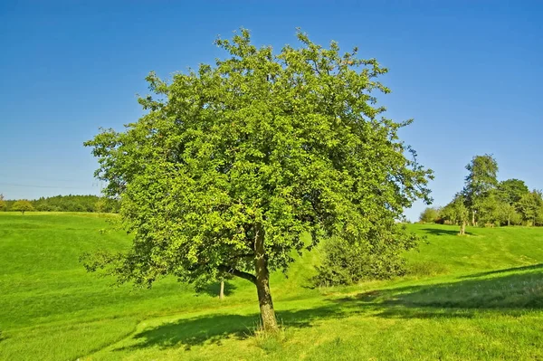 Bela Vista Paisagem Natureza — Fotografia de Stock