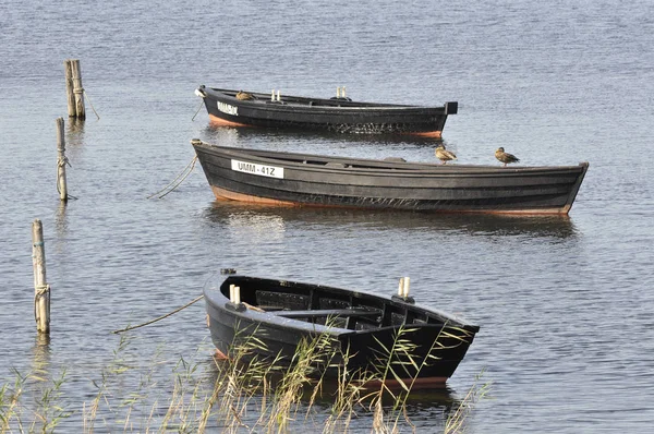 Vaartuigen Vissersvaartuigen Vervoer Van Vaartuigen — Stockfoto