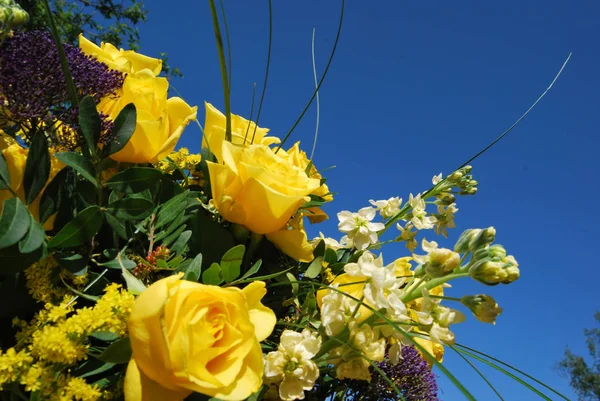 Hermosas Flores Fondo Concepto Floral — Foto de Stock