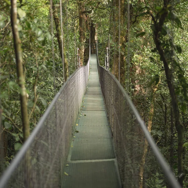 Puente Colgante Costa Rica — Foto de Stock