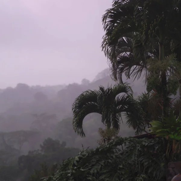 Landschap Van Costa Rica — Stockfoto