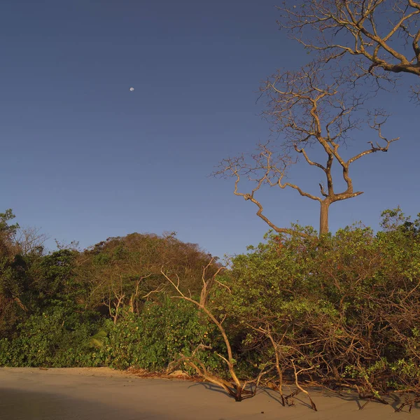 Paisaje Costa Rica — Foto de Stock