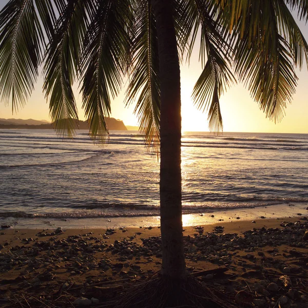 Coast Costa Rica — Stock Photo, Image