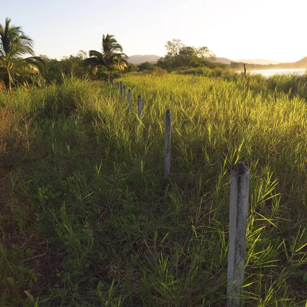 Łąki Kostaryce — Zdjęcie stockowe