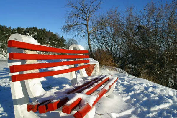 Скамейка Покрытая Снегом Брашов Трансильвания Румыния — стоковое фото