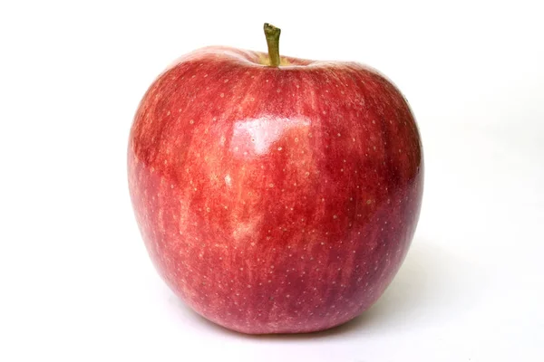 Stock Photograph Apple Looking Fresh Ripe Healthy — Stock Photo, Image