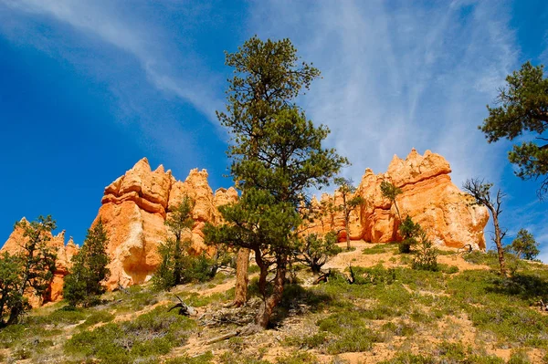 Bryce Kanyonu Kumtaşlı Ulusal Park — Stok fotoğraf