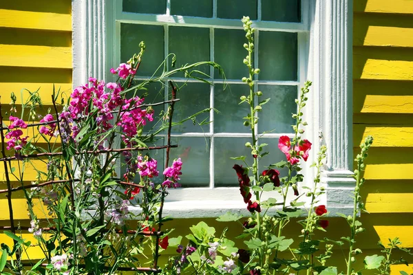 Starý Domek Letní Zahradou Plnou Květin — Stock fotografie