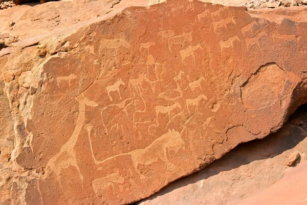 Twyfelfontein Namibya Kaya Oymaları — Stok fotoğraf