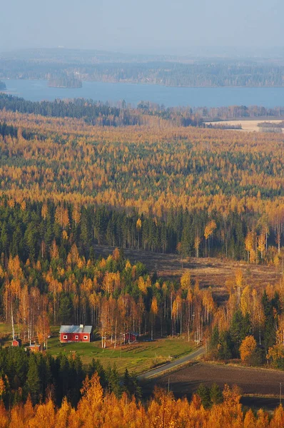 Pittoresk Utsikt Över Vackert Höstlandskap — Stockfoto