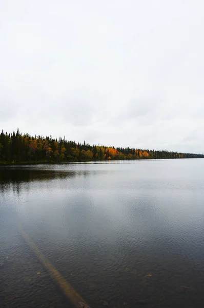 Paisaje Otoñal Laponia Finlandia —  Fotos de Stock