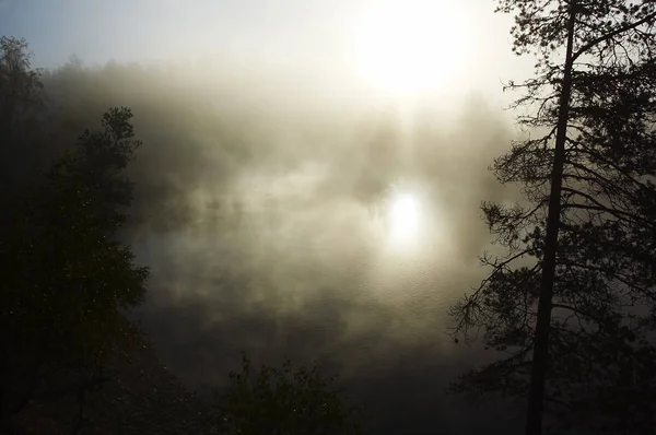 Nebbia Mattutina Lungo Fiume — Foto Stock