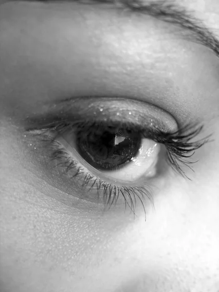 Macro Shot Pretty Eye Black White — Stock Photo, Image