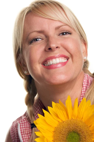 Attractive Blond Sunflower Isolated White Background — Stock Photo, Image