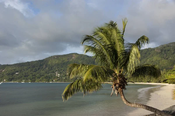 Seychelles Indian Ocean Mahe Island Views Eden Island — Stock Photo, Image