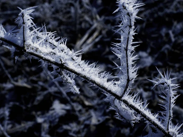 Kleurrijke Achtergrond Voor Kerst Nieuwjaar Vakantie Kaart — Stockfoto