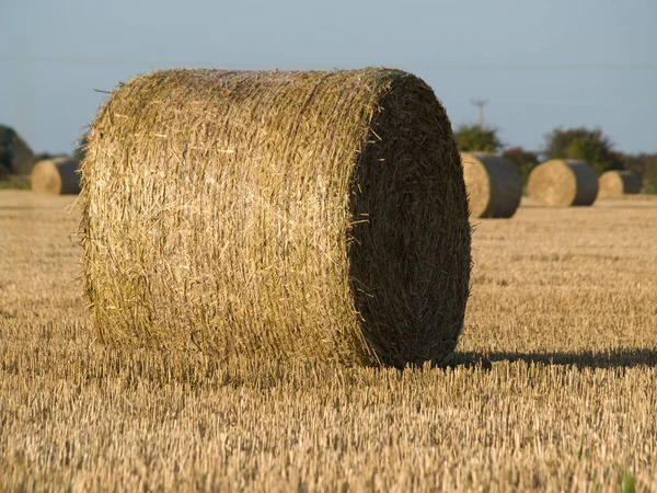 Landschapsbeeld Selectieve Focus — Stockfoto