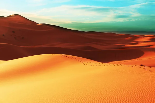 Лагерь Песчаной Пустыне — стоковое фото