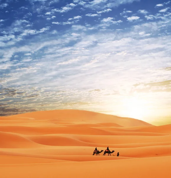 Caravana Deșertul Sahara — Fotografie, imagine de stoc