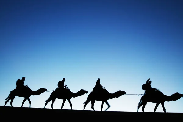 Sahra Çölü Ndeki Kervan — Stok fotoğraf